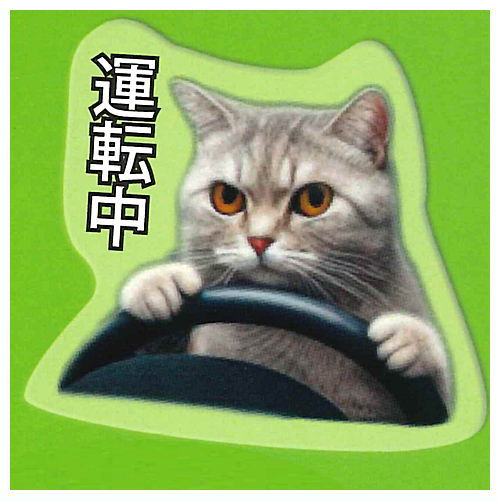 Cat Meme soft mejirushi charm [2.Driving]