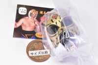 First Tiger Mask Collection [2.The First Tiger Mask Yagiri Model]