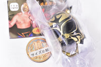 First Tiger Mask Collection [3.The Tiger]