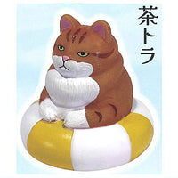 Ukiwanihamatta mucchirineko soft vinyl mascot [4.Chatora]