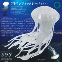 Nature Techni colour Jellyfish LED Light Collection [2.Atlantic Sea Nettle]