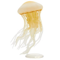 Nature Techni colour Jellyfish LED Light Collection [3.Indonesian Sea Nettle]