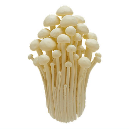 Nature Techni colour MONO PLUS Mushroom Magnet Part.1 [4.Enokitake]