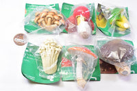 Nature Techni colour MONO PLUS Mushroom Magnet Part.1 [All 6 type set(Full Complete)]