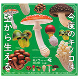 Nature Techni colour MONO PLUS Mushroom Magnet Part.1 [All 6 type set(Full Complete)]