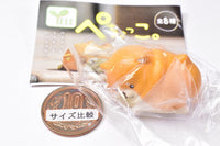 Pechokko [1.Shibapecho]