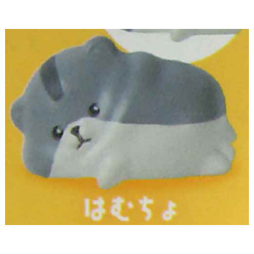 Pechokko [4.Hamucho]