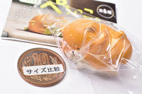Pechokko [5.Shibapecho suyasuya ver]