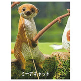Tsuribiyori Part.4Dobutsutachino himatsubushi [3.Meerkat]