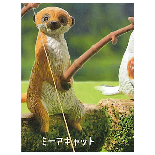 Tsuribiyori Part.4Dobutsutachino himatsubushi [3.Meerkat]