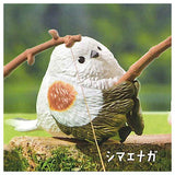 Tsuribiyori Part.4Dobutsutachino himatsubushi [4.Shimaenaga]