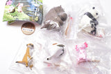 Tsuribiyori Part.4Dobutsutachino himatsubushi [All 5 type set(Full Complete)]