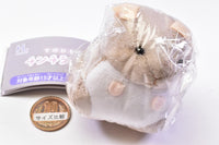 Tenohira size chinchilla plush toy [4.Beige]