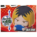 Onemutan Haikyu!! [4.Kenma Kozume]