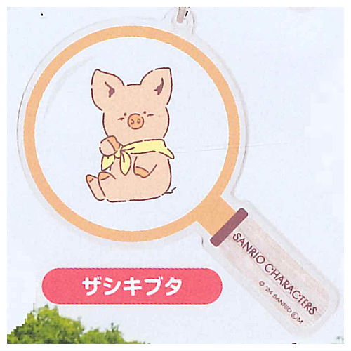 Sanrio Characters mi-tsuketa! Keychain [8.Zashikibuta]