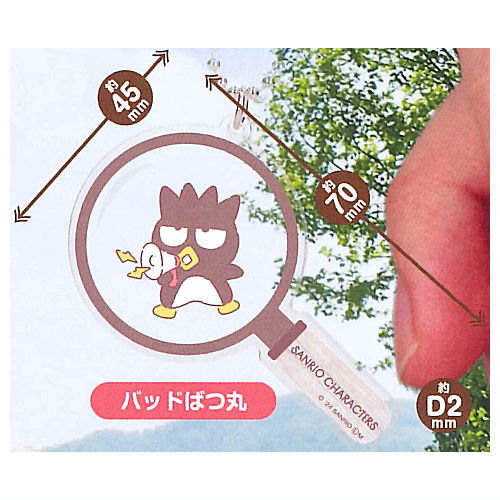 Sanrio Characters mi-tsuketa! Keychain [10.Bad Badtz-Maru]