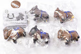 Super Thoroughbred Figure Mascot Vol.11 [All 5 type set(Full Complete)]