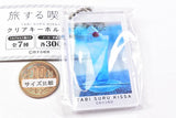 Tabi suru kissa Clear Keychain [3.Pale sky (blue)]