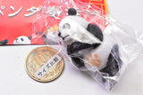 Pandakenpo [1.Pandakenrei]