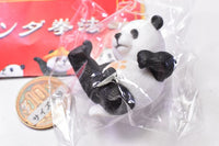 Pandakenpo [2.Pankick]