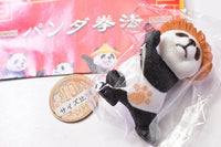 Pandakenpo [3.Kasapannokata]