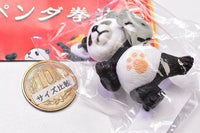 Pandakenpo [4.Pannokamae]