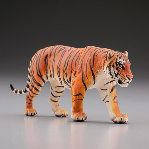 Capsule Q WILD RUSH Vol.4 Asia Tropical series [1.Bengal tiger]