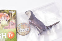 Capsule Q WILD RUSH Vol.4 Asia Tropical series [2.Small-clawed otter]