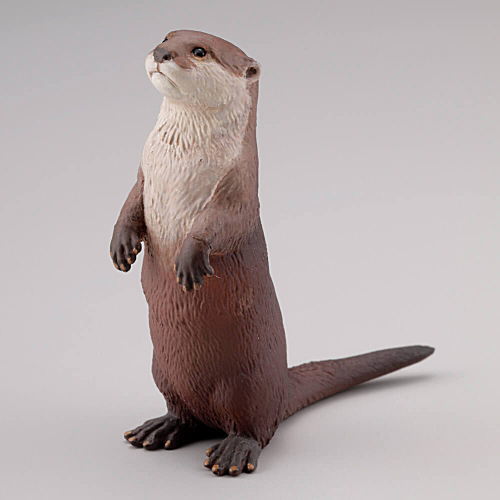 Capsule Q WILD RUSH Vol.4 Asia Tropical series [2.Small-clawed otter]
