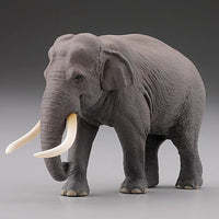 Capsule Q WILD RUSH Vol.4 Asia Tropical series [3.Asian elephant]