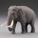 Capsule Q WILD RUSH Vol.4 Asia Tropical series [3.Asian elephant]