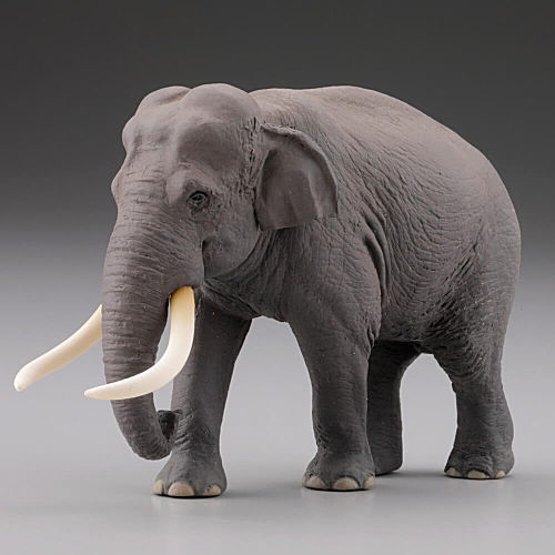 Capsule Q WILD RUSH Vol.4 Asia Tropical series [3.Asian elephant]