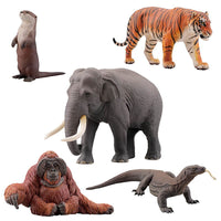 Capsule Q WILD RUSH Vol.4 Asia Tropical series [All 5 type set(Full Complete)]