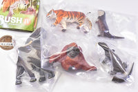 Capsule Q WILD RUSH Vol.4 Asia Tropical series [All 5 type set(Full Complete)]