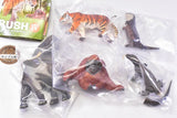 Capsule Q WILD RUSH Vol.4 Asia Tropical series [All 5 type set(Full Complete)]