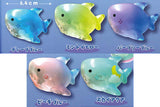 Mochikko Shark Clears sofubi Cool Sky [All 5 type set(Full Complete)]