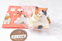 Artuniv Techni Colour Cretaceous cat figure mascot Part.2 [3.Fukuyusurineko (mike)]