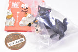 Artuniv Techni Colour Cretaceous cat figure mascot Part.2 [5.Nekomatakoro (black)]