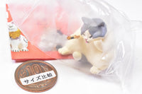 Artuniv Techni Colour Cretaceous cat figure mascot Part.2 [6.Nekokoro (gray hachiware)]