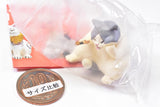 Artuniv Techni Colour Cretaceous cat figure mascot Part.2 [6.Nekokoro (gray hachiware)]