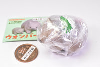 Wombat [1.Mogumogu shokujichu]