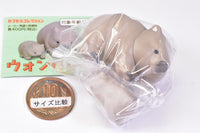 Wombat [4.Tokotoko oyakodeosanpochu]