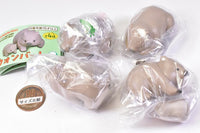 Wombat [All 4 type set(Full Complete)]