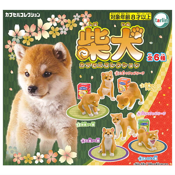 Shiba Inu Capsule Collection [All 6 type set(Full Complete)]