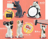 Nyanko Channel [All 5 type set(Full Complete)]