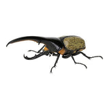 Beetle Gashapon 07 [1.Hercules Hercules Kai (Yellowish brown)]