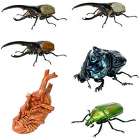 Beetle Gashapon 07 [All 6 type set(Full Complete)]