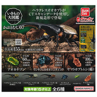 Beetle Gashapon 07 [All 6 type set(Full Complete)]