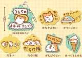 Suyaham Datsuryoku Capsule Rubber Strap [All 7 type set(Full Complete)]