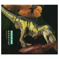 Capsule Q Dinosaur Excavation 7 New Dinosaur Zoukei Saizensen [3.Tarbosaurus]